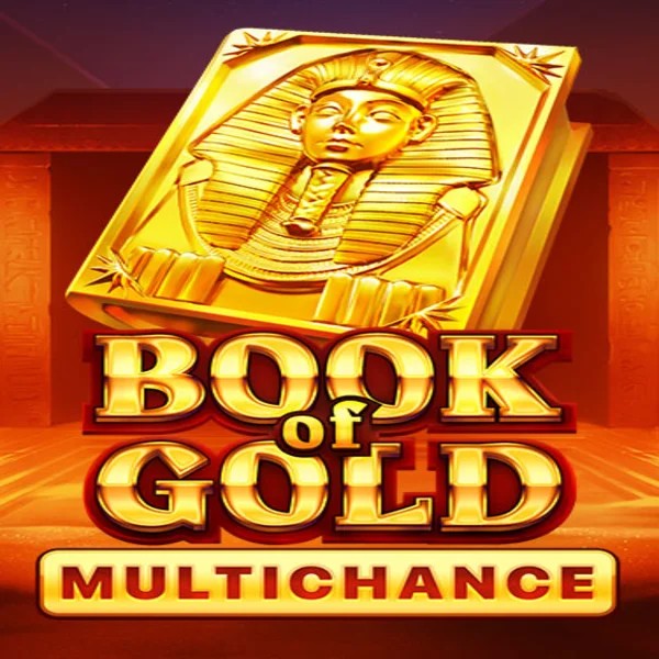 Slots logo of Book of Gold Multichance from Playson at Magneticslots Casino